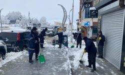 Hakkari’de karla mücadele seferberliği