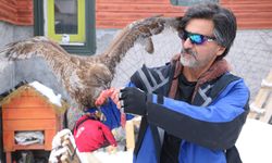 Tedavi edip doğaya bıraktı aylar sonra geri döndü