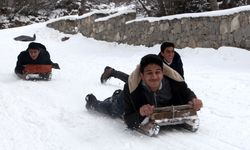 Erzincan'da çocukların kızak keyfi