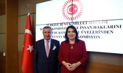 Meclis'te kamu denetçisi seçimi yapıldı