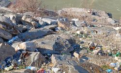 Hakkari Zap Vadisi’nde doğa tahribatı