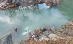 Dereye düşen pikapta 3 kişi yaralandı