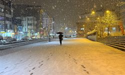 Kar ve tipi Hakkari'de hayatı olumsuz etkiledi