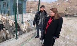 Eşbaşkan’dan hayvan barınağına ziyaret
