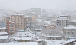 Hakkari'de kar yağışı hayatı olumsuz etkiledi