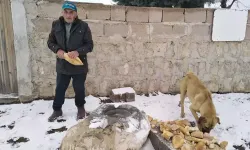 Hayvanlar için su ve ekmek taşıyor