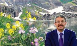 Vali Ali Çelik’ten Hakkari’nin saklı cennetine davet