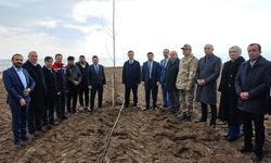 Çiftçilere 12 bin sertifikalı ceviz fidanı dağıtımı başladı