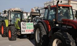 Volos Limanı'nda çiftçi protestosu