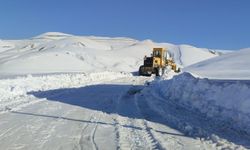 Van'da kapalı yollar ulaşıma açıldı
