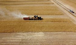 Çiftçilere 2,5 milyar liralık destek ödemesi başlıyor