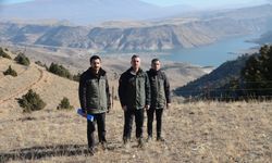 Doğu’da 9 milyon fidan ve tohum ekildi