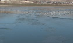 Van’daki Sıhke Gölü kısmen buz tuttu