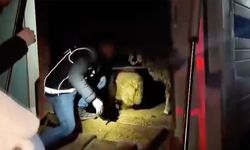 Siirt’te hayvanların karın boşluğunda yasaklı madde bulundu