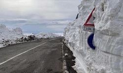 Ardahan-Ardanuç kara yolu kışın kapalı olacak