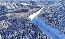 Çambaşı Yaylası'nda kış manzarası havadan görüntülendi