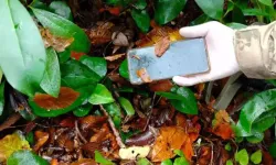 Anne ve oğulun ölüm nedeni hipotermi olarak belirlendi