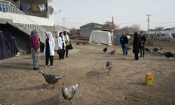 Muş’ta sağlık ekipleri köy köy tarama yapıyor