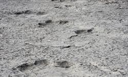 İtalya’da 200 milyon yıllık dinozor ayak izleri bulundu