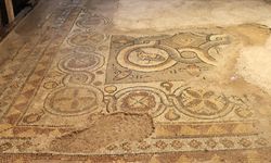 1600 Yıllık mozaikler Sinop'ta sergilenecek