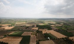 Türkiye’de toprak her 16 yılda 1 santimetre kaybediyor