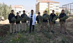 Öğrenciler uygulama bahçesinde alternatif ürün yetiştiriyor