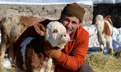 Kars’ta besiciler soğukta zorlu mesai yapıyor