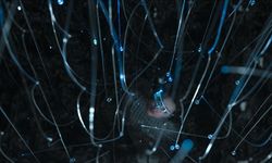 Türkiye dijital altyapısını güçlendiriyor