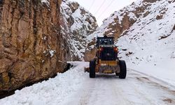 Van'da kırsalda karla mücadele sürüyor