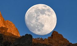 Van’da yaban keçileri dolunayla dağın zirvesinde görüldü