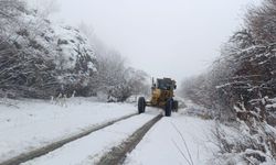 Hakkari genelinde sağanak ve sis etkili oldu