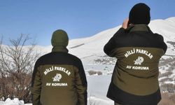 Hakkari'de yasadışı avcılığa rekor ceza