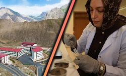 Hakkari Üniversitesi’nden Tarımda çığır açan organik çözüm