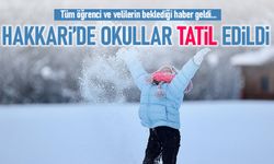 Hakkari'de okullar yarın da tatil edildi