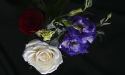 Türkiye’den yılbaşında 12 milyon dolarlık çiçek ihracatı