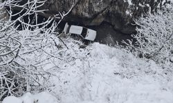 Diyarbakır’da otomobil çaya uçtu: 4 yaralı