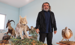 Yaban hayvanlarıyla temasın ciddi biyogüvenlik riskleri var