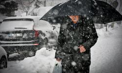 Hakkari'de kar ve soğuk hava etkisini sürdürüyor