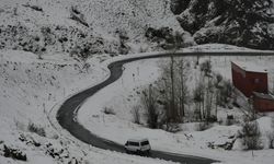Kar ve sis Hakkari'ye farklı bir renk kattı