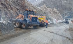 Hakkari Yüksekova karayolunda heyelan
