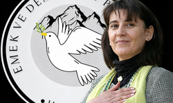 Hakkari Emek ve Demokrasi Platformu’ndan Zana açıklaması