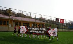 Hakkari'de Leyla Zana’ya destek