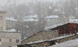 Hakkari'de sağanak yerini kara bıraktı