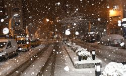 Valilikten Hakkarililere kritik uyarı