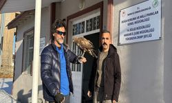 Tedavi ettiği kızıl şahini Doğa Korumaya teslim etti