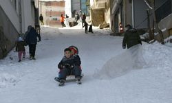 Hakkarili çocuklar karı eğlenceye dönüştürdü