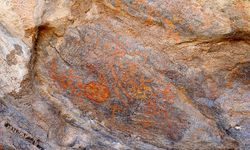 Kayseri'de bulundu benzerleri Hakkari'de var