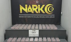 Ağrı’da tır dorsesinde 2 bin 500 yasaklı hap ele geçirildi