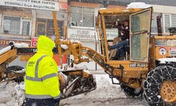 Şemdinli Belediyesinden karla mücadele çalışması