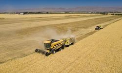 TKDK’ya 42 yeni sözleşmeli uzman alınacak